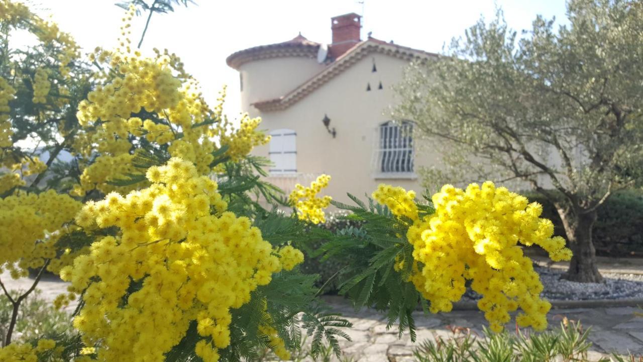 Le Relais Fleuri Hotel Alès Екстериор снимка